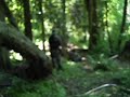 June 24 Airsoft Battle