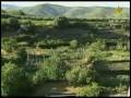 videos de Casar de Palomero-Caceres Parte 3/3