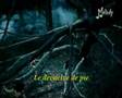 Florent Pagny, Et Un Jour Une Femme [subtitulada]