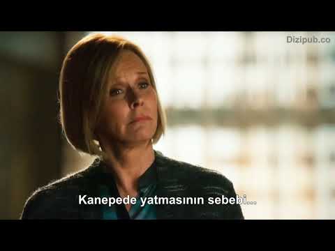 hart of dixie zoe wade 4/3