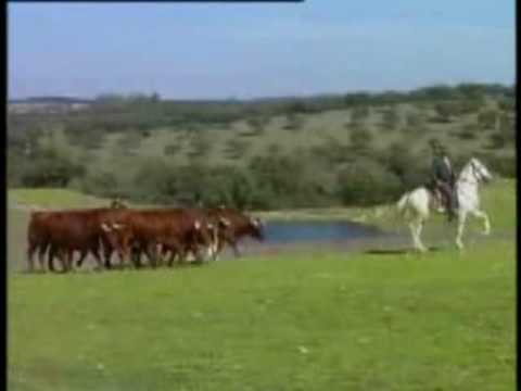 MIGUEL ACEVES MEJIA- AL TROTE DE MI CABALL0