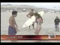 Reportaje 2008 - ¿Vedettes o Nuevas Folkloristas? (1/2)