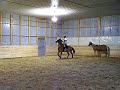 Horse Joust practice - Quintain - 2nd go...