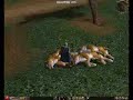 Metin2 - Sura