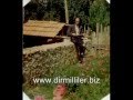 DİRMİL İN SANAT...