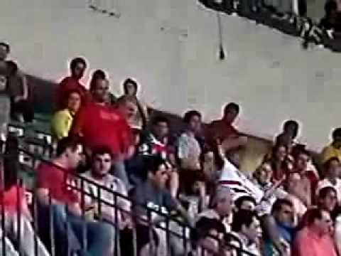 Bambi na numerada 2.0
