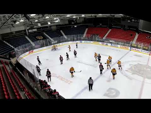 #17 Liam Wouters Shifts and Highlights Sarnia Jr Sting December 22, 2024