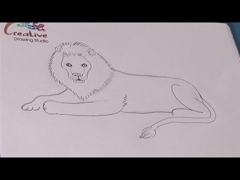 how to draw a lion