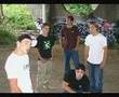 original HEDLEY - GCD live