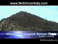 Umbria Christmas - Biggest Christmas Tree in the World