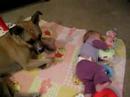 ava-plaing-with-dolja.html