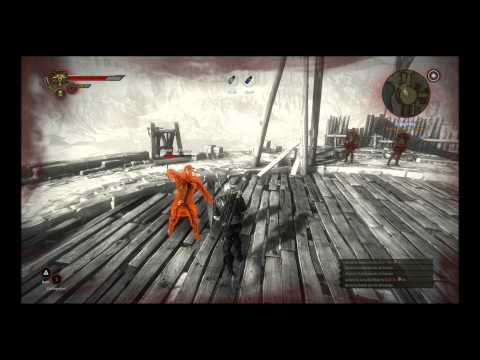 The Witcher 2 : Assassins of Kings