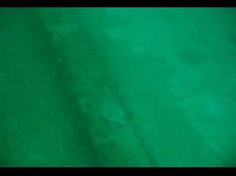 Diving - Straits of Mackinac - ...