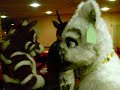 Some suitters from Eurofurence 14 Some suitters from Eurofurence 14