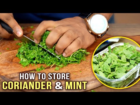How To Cut & Store Coriander & Mint Leaves | Ways To Clean Coriander & Mint Leaves | Basic Cooking