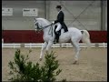 Floris De Coninck & Ostara CH - Grand Prix debuut Floris De Coninck & Ostara CH - Grand Prix debuut