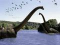 Dinos