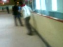 a misa le gusta el hielo!!!!!!!!!!!