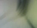 a misa le gusta el hielo!!!!!!!!!!!
