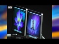 2010 Apple Review