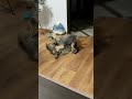 https://www.youtube.com/watch?v=Ed3YlywZ4rw