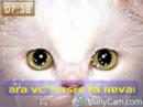 rap do solit�rio,amore