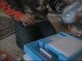 videos de Nintendo Wii unpacking