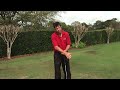 Free Golf Tips on Grip : Hand Square to Target Line Golf Grip
