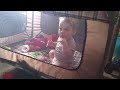 Click here to watch this video Little Interactions; Mason, the baby.