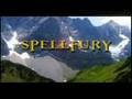 SPELLFURY-Web-Series