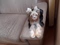 latoya-brigando.html