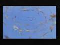 AMV Final Fantasy X [Patrice]