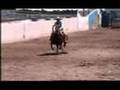 Caballos Charros en Venta
