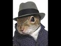 skype: the squirrel and the bottle 