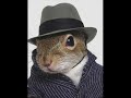 skype: the squirrel and the bottle 