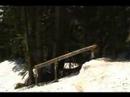 tree handrail tree handrail