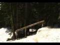tree handrail