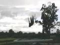 Kyle and Arryn Trampoline 3