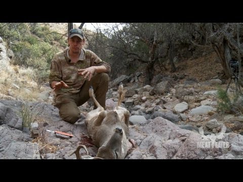 how to properly gut a deer