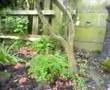 Composting Bench Video