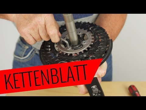 Fahrrad Kettenblatt tauschen - einfach & schnell - Fahrrad.org
