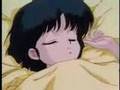 Ranma y Akane - Rosas -