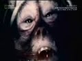 archive footage of monkey head transplant experiment