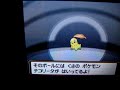 Shiny Chikorita in Soul Silver after 3 weeks of resetting.