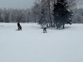 freeride -  na lyžích.MPG