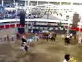 espectaculo ecuestre en la macarena de uruapan mich