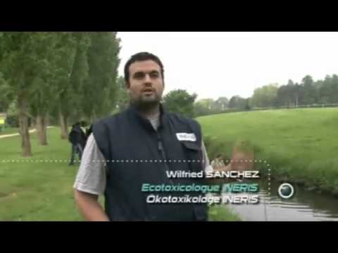 Image de prévisualisation YouTube