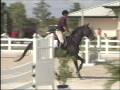 videos de Apt to Win - Jumper for Sale