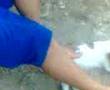 el caliman 1