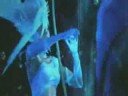 FFXIII Trailer - Extended!!
